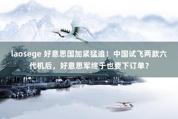 laosege 好意思国加紧猛追！中国试飞两款六代机后，好意思军终于也要下订单？