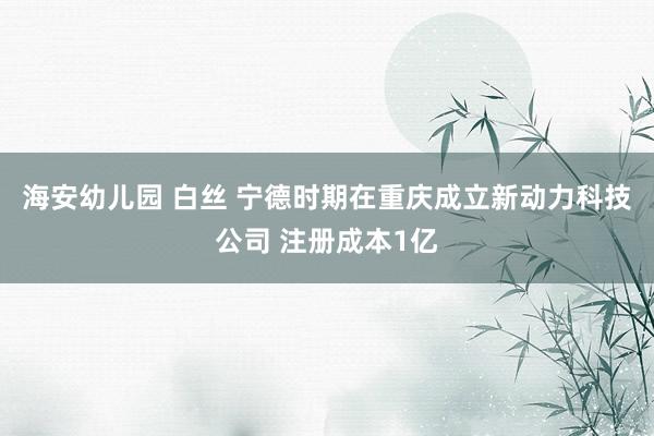 海安幼儿园 白丝 宁德时期在重庆成立新动力科技公司 注册成本1亿