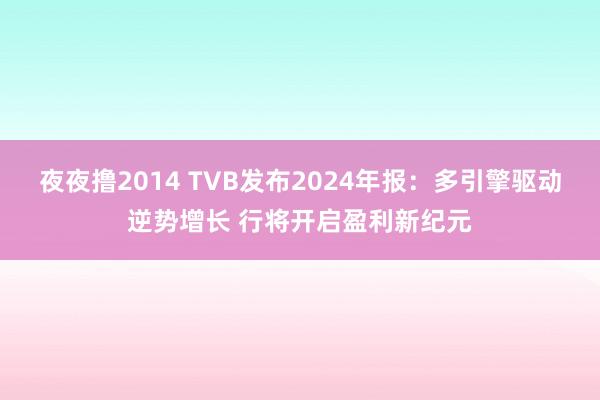 夜夜撸2014 TVB发布2024年报：多引擎驱动逆势增长 行将开启盈利新纪元