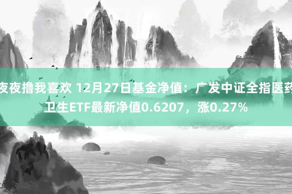 夜夜撸我喜欢 12月27日基金净值：广发中证全指医药卫生ETF最新净值0.6207，涨0.27%