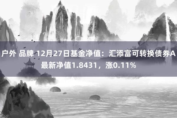 户外 品牌 12月27日基金净值：汇添富可转换债券A最新净值1.8431，涨0.11%