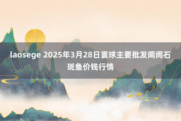laosege 2025年3月28日寰球主要批发阛阓石斑鱼价钱行情