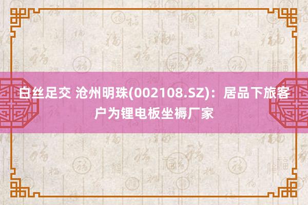 白丝足交 沧州明珠(002108.SZ)：居品下旅客户为锂电板坐褥厂家