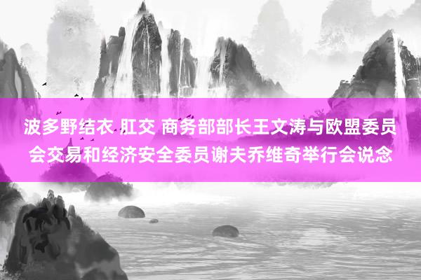 波多野结衣 肛交 商务部部长王文涛与欧盟委员会交易和经济安全委员谢夫乔维奇举行会说念
