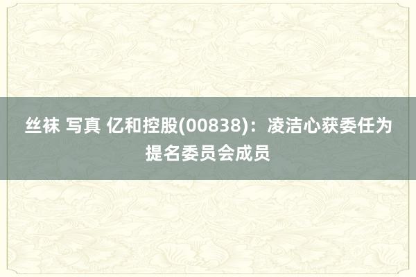 丝袜 写真 亿和控股(00838)：凌洁心获委任为提名委员会成员