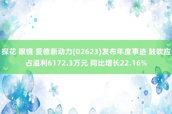探花 眼镜 爱德新动力(02623)发布年度事迹 鼓吹应占溢利6172.3万元 同比增长22.16%