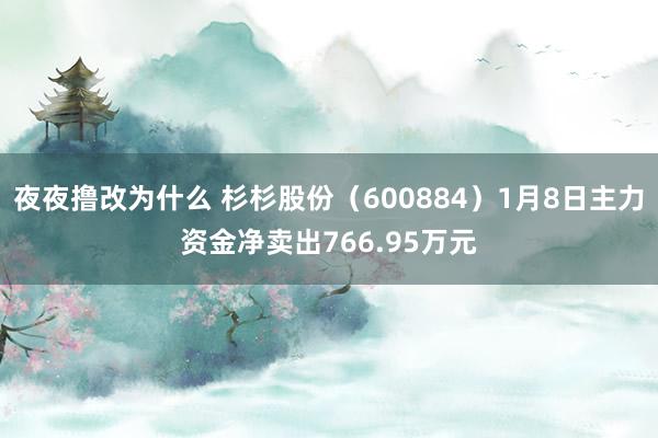 夜夜撸改为什么 杉杉股份（600884）1月8日主力资金净卖出766.95万元