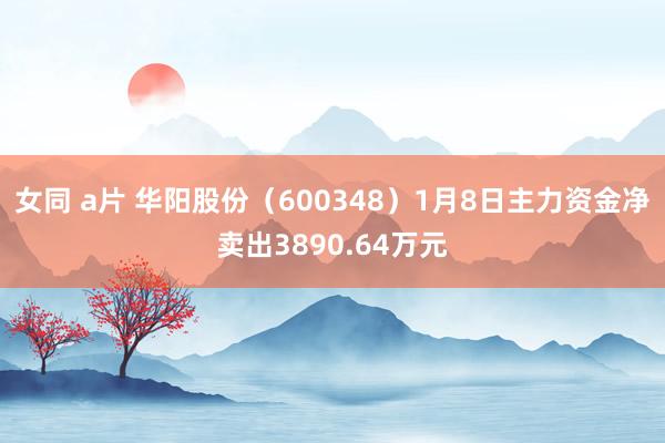 女同 a片 华阳股份（600348）1月8日主力资金净卖出3890.64万元