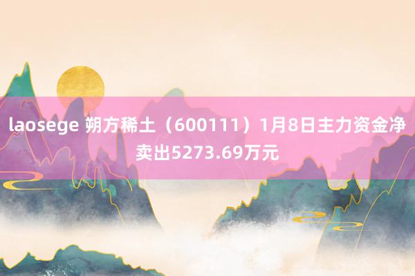 laosege 朔方稀土（600111）1月8日主力资金净卖出5273.69万元
