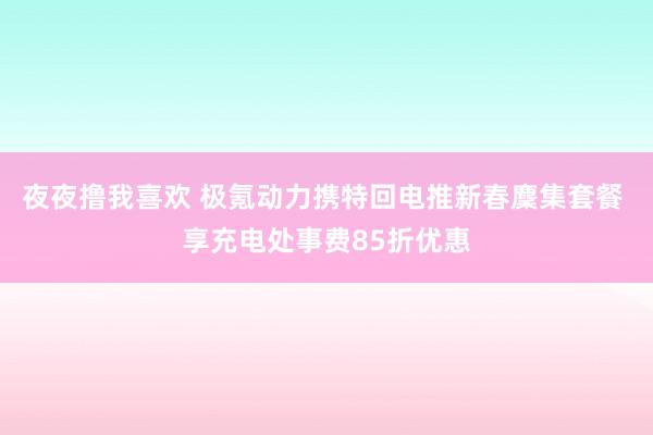 夜夜撸我喜欢 极氪动力携特回电推新春麇集套餐 享充电处事费85折优惠