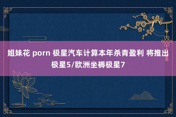 姐妹花 porn 极星汽车计算本年杀青盈利 将推出极星5/欧洲坐褥极星7