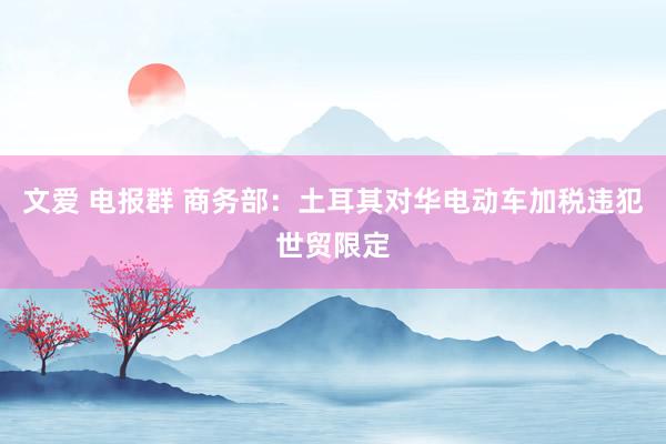 文爱 电报群 商务部：土耳其对华电动车加税违犯世贸限定