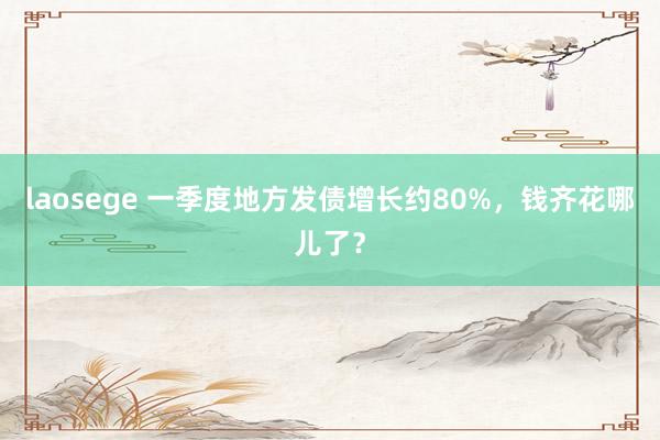 laosege 一季度地方发债增长约80%，钱齐花哪儿了？