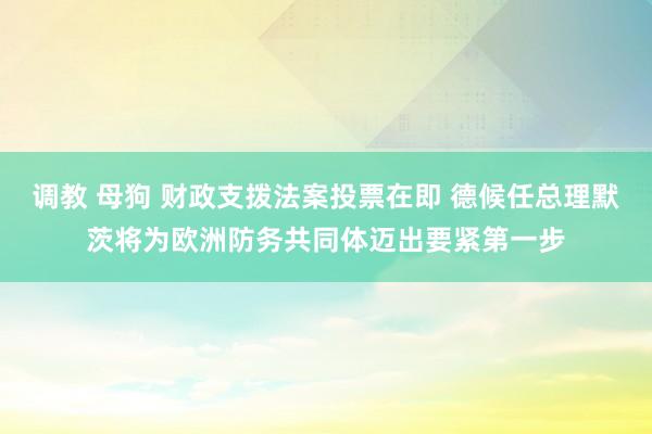 调教 母狗 财政支拨法案投票在即 德候任总理默茨将为欧洲防务共同体迈出要紧第一步