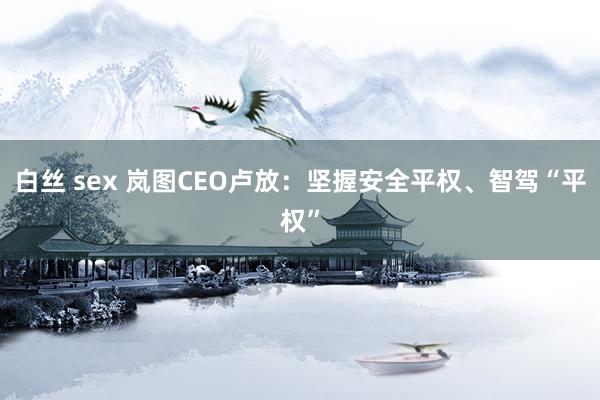白丝 sex 岚图CEO卢放：坚握安全平权、智驾“平权”