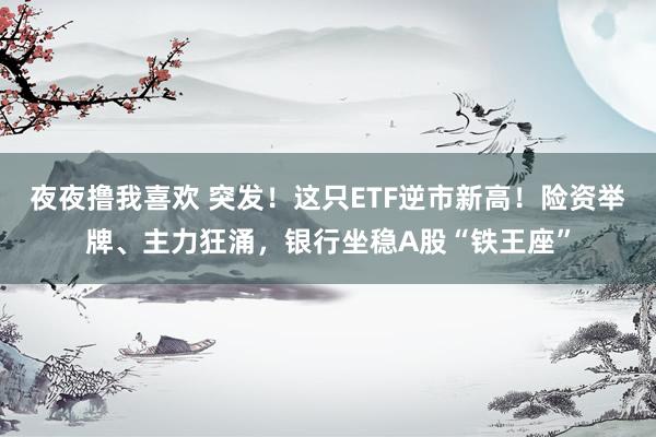 夜夜撸我喜欢 突发！这只ETF逆市新高！险资举牌、主力狂涌，银行坐稳A股“铁王座”