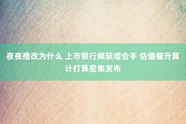 夜夜撸改为什么 上市银行频获增合手 估值擢升算计打算密集发布