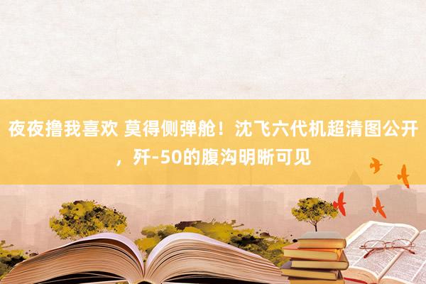 夜夜撸我喜欢 莫得侧弹舱！沈飞六代机超清图公开，歼-50的腹沟明晰可见