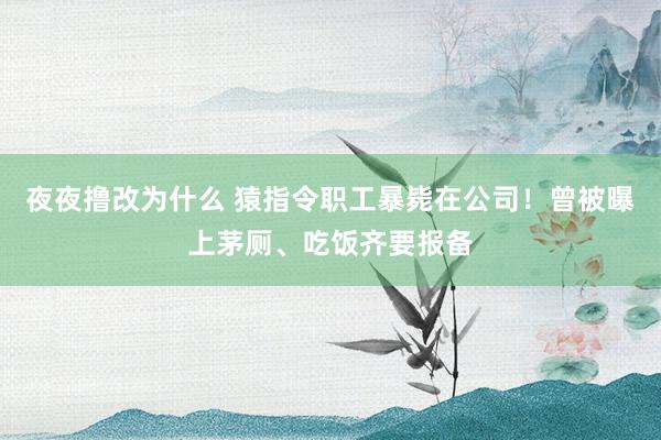 夜夜撸改为什么 猿指令职工暴毙在公司！曾被曝上茅厕、吃饭齐要报备
