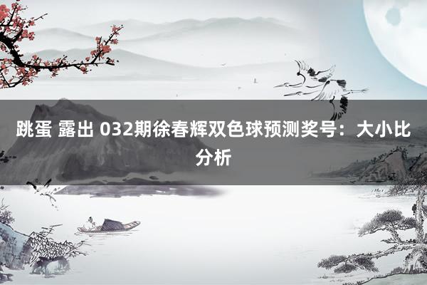 跳蛋 露出 032期徐春辉双色球预测奖号：大小比分析
