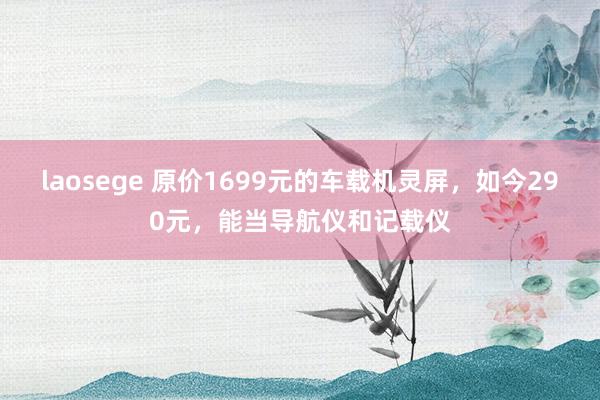 laosege 原价1699元的车载机灵屏，如今290元，能当导航仪和记载仪