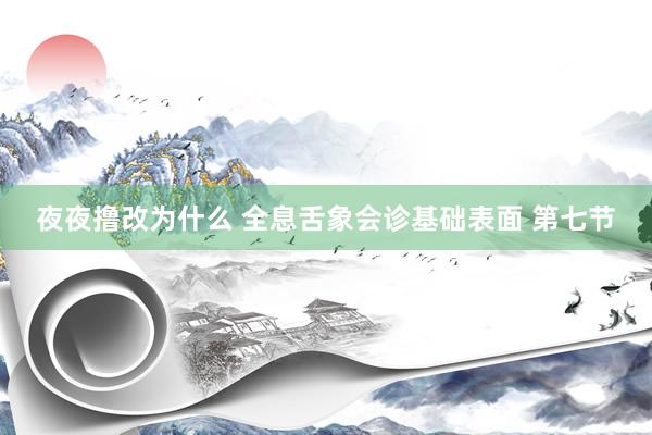 夜夜撸改为什么 全息舌象会诊基础表面 第七节