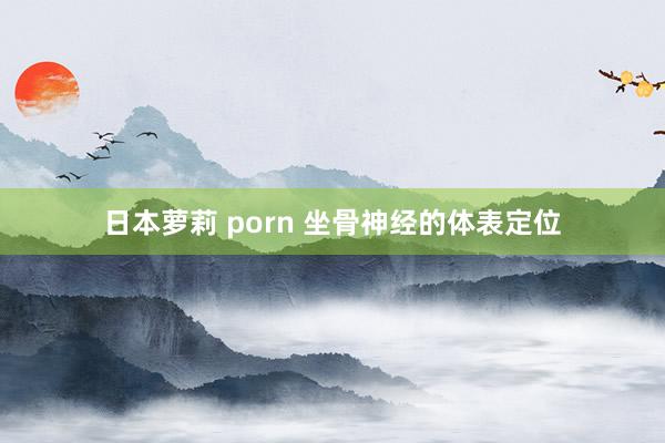 日本萝莉 porn 坐骨神经的体表定位